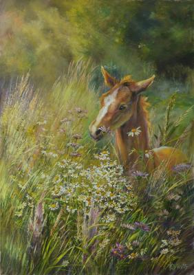 ������� �����. ��������� ������