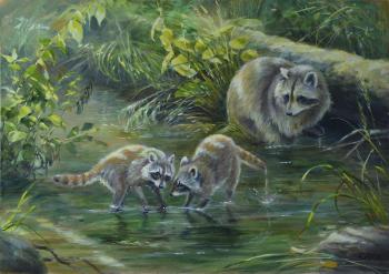 ������ ����������. ���������� ����