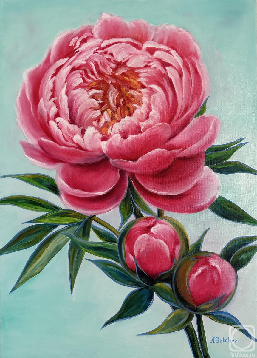 ������� ������ �� ������. �������� ����. ��������