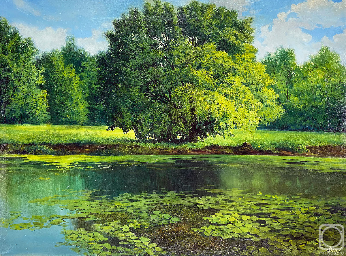 ������� ������ �� ������. �������� ��������. �������� �������