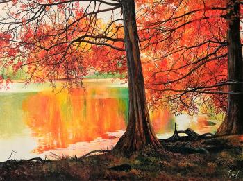 ������� ������ ������ ��������