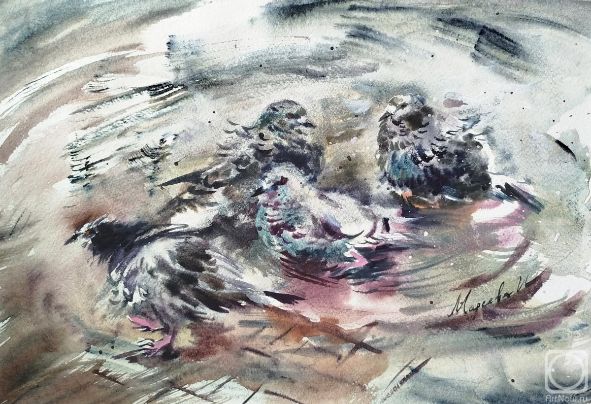 �������. ������� �����. ������ �������