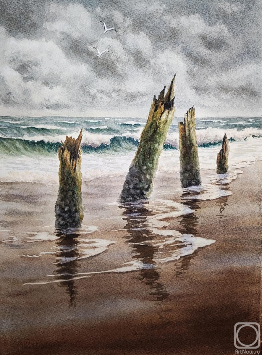 �������. �������� ��������. ������ ����