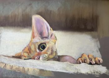 �� ��!. �������� ����