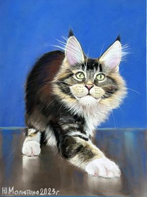 ���������� ���. �������� ����