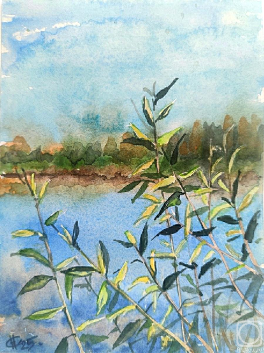 �������. ������ �������. ������� ����