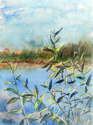 ������� ����. ������ �������