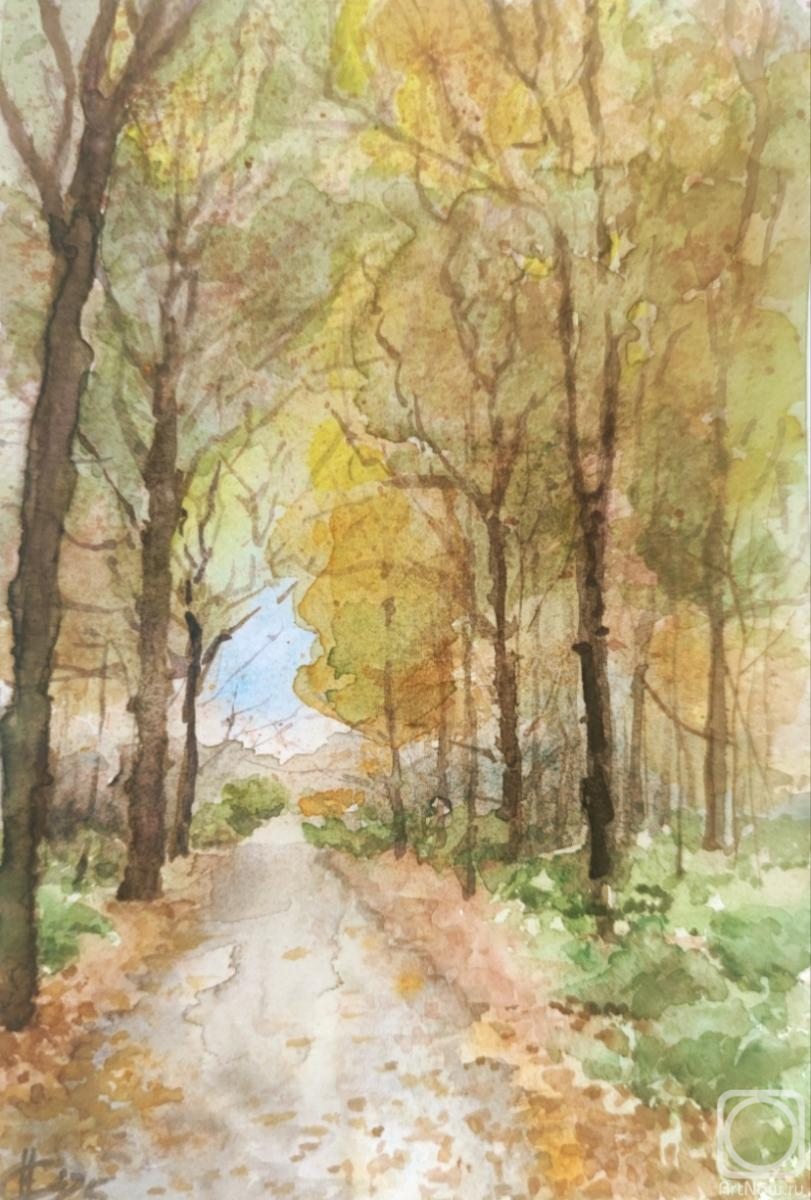 �������. ������ �������. ������ � ������������ ���. ������� �����