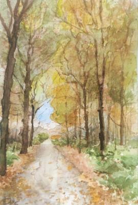 ������� ������� � ������������ ���. ������� ������