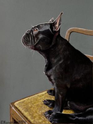 Little Philosopher. Malyutina Yuliya