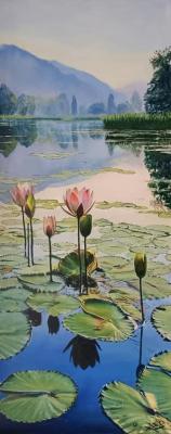 Water lilies on a mirror-like surface. Mesrel Liana