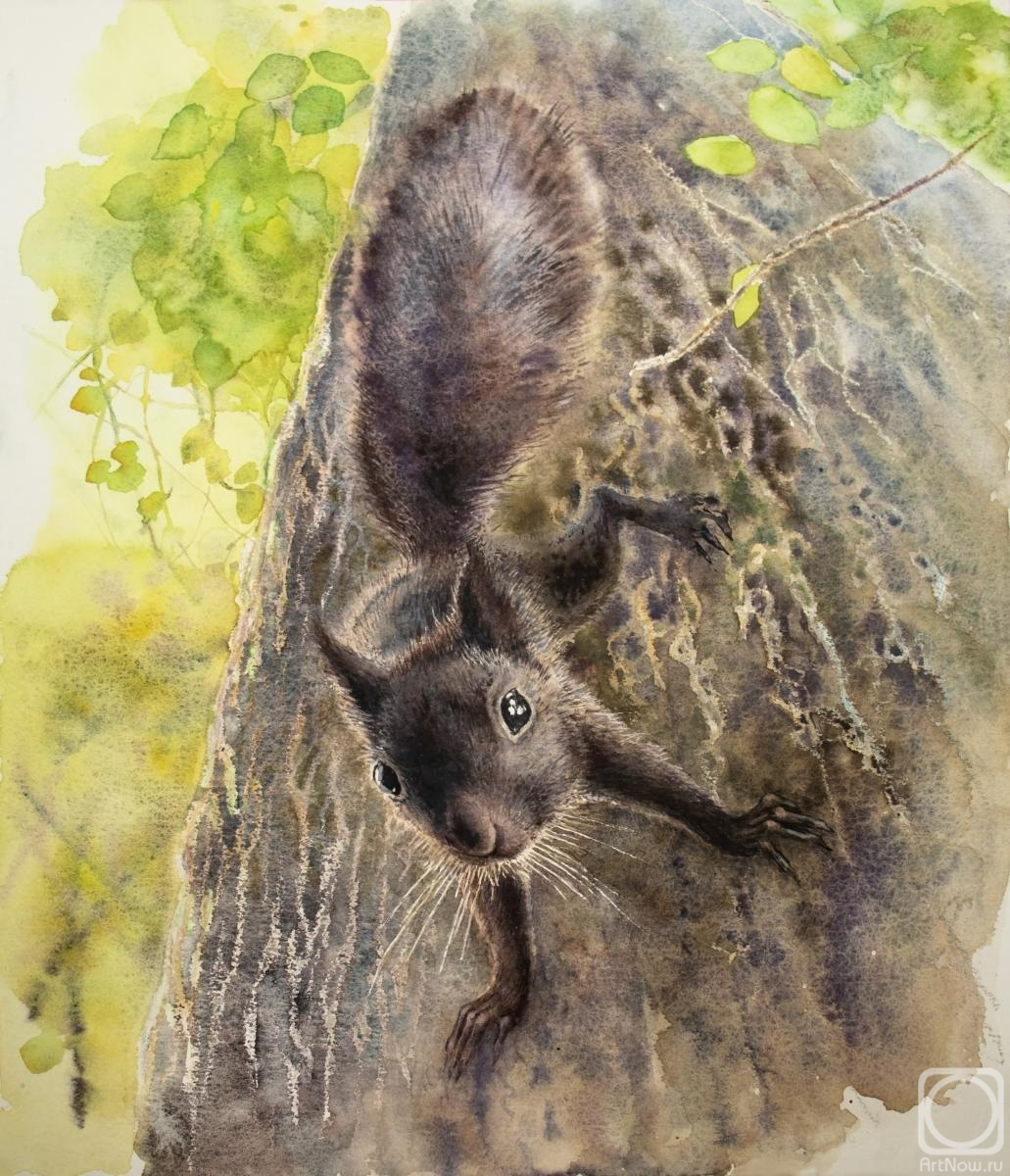 �������. �������� ����. ��������� �����