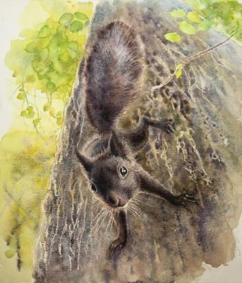 ��������� ����� (�������� ���������). �������� ����