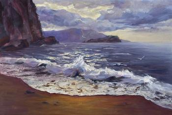 Evening Wave Symphony. Tovstik Sasha