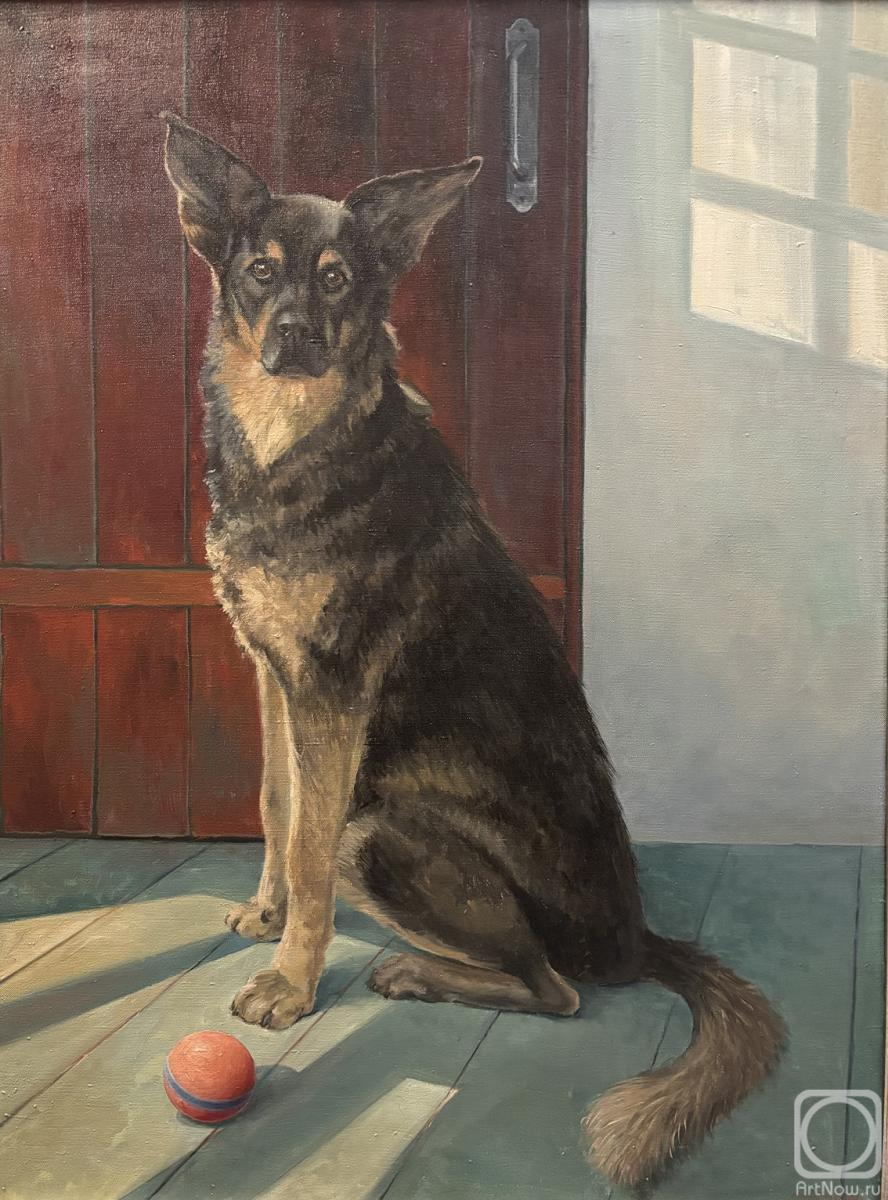 ������� ������ �� ������. ������� �������. �����