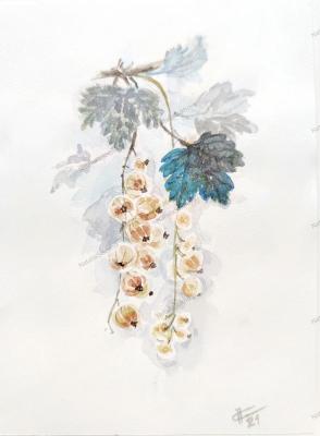 ����� ����� ���������. ������ �������