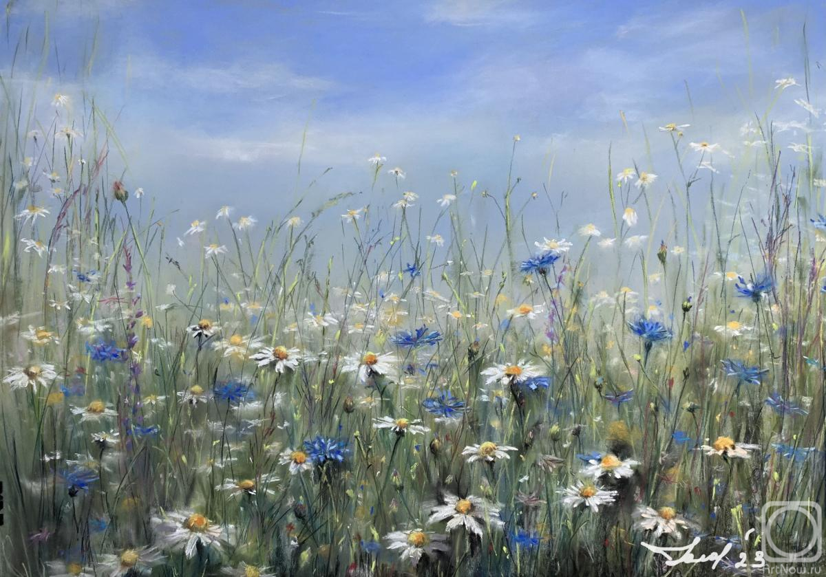 ������� ��������. �������