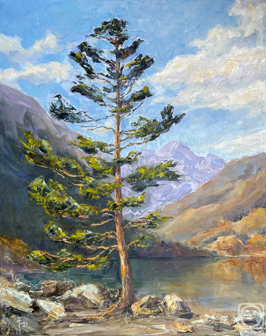 ������� ������ �� ������. ������� ����. �����