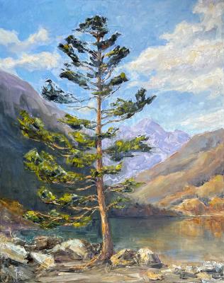 ������� ������