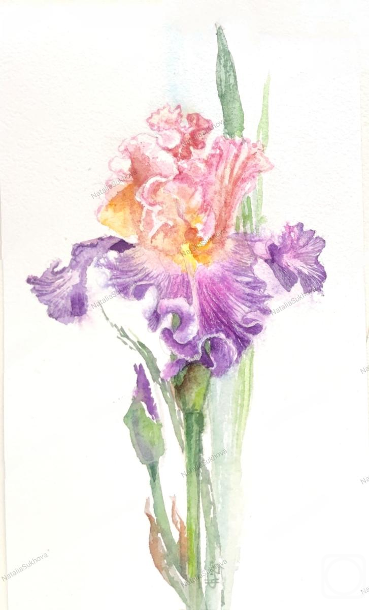 �������. ������ �������. ���� ��������-����������