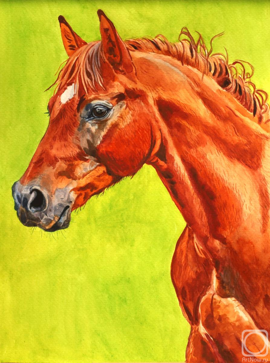 �������. ��������� �������. �������� ������