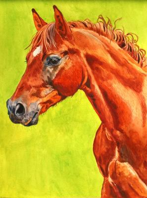 ������� ��������� �������