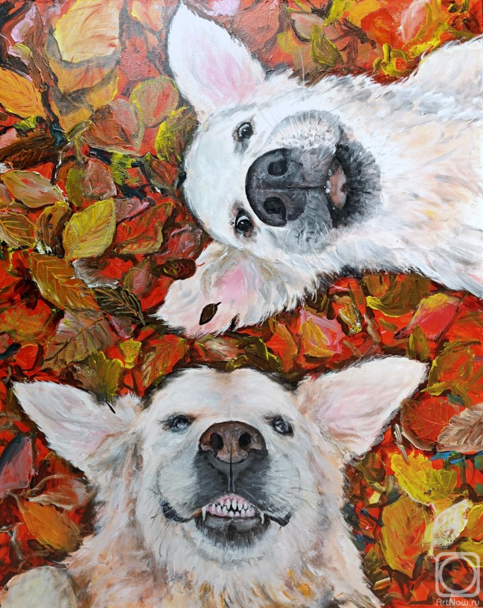 �������. �������� ������. �����