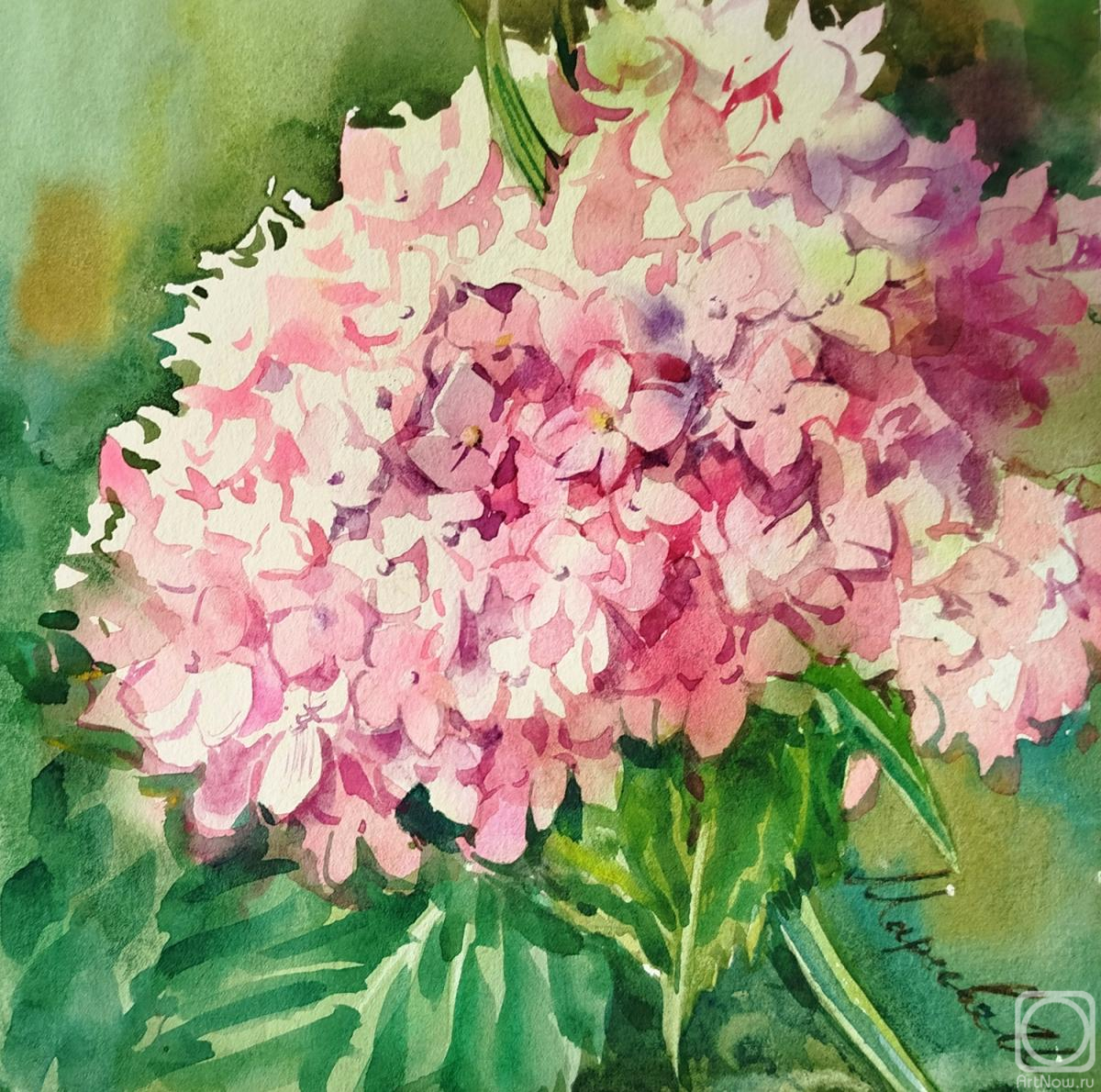 �������. ������� �����. ��������� ��������