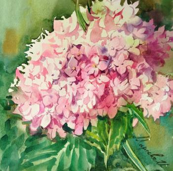 ��������� ��������. ������� �����