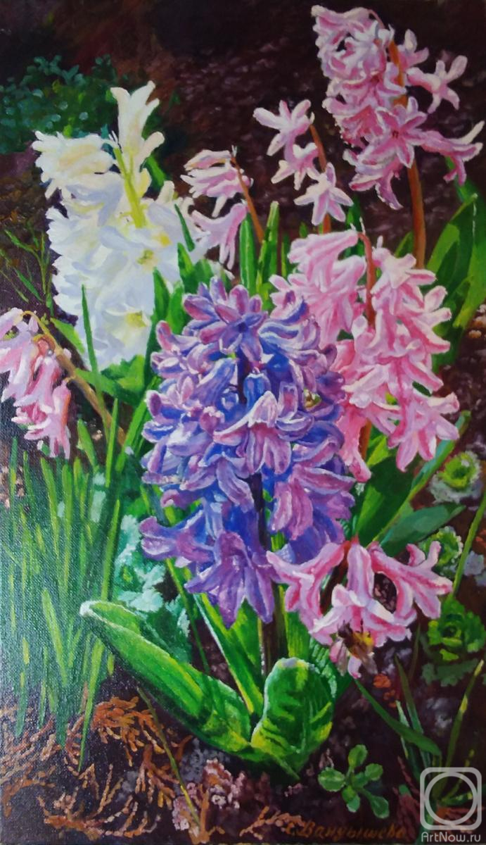 ������� ������ �� ������. ��������� ��������. ��������