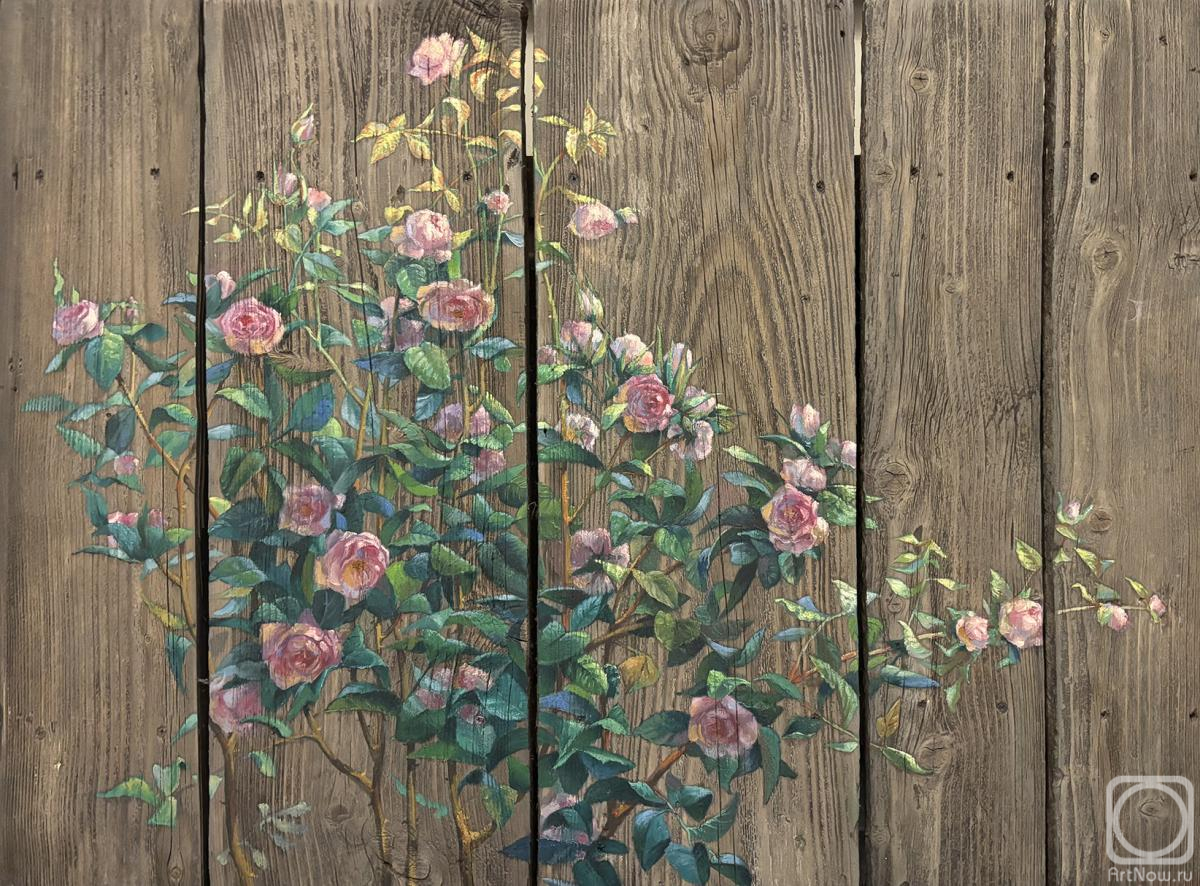 Krylova Ludmila. Untitled