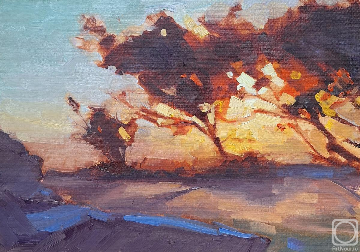 �������. ������ ������. �������� ������