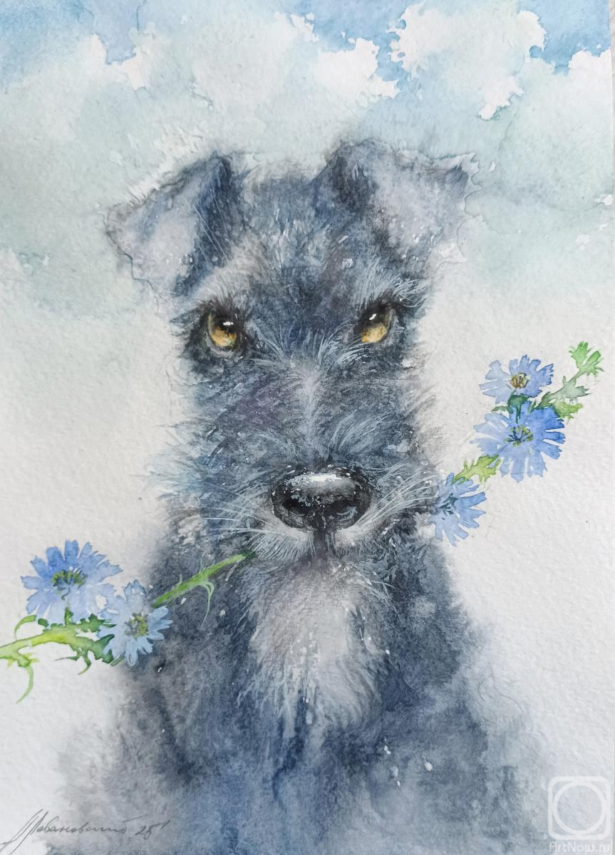 �������. ����������� ���������. ����