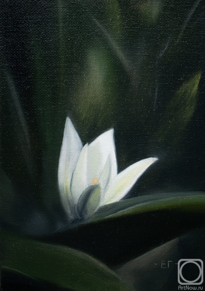 ������� ������ �� ������. ������� �����. ��������