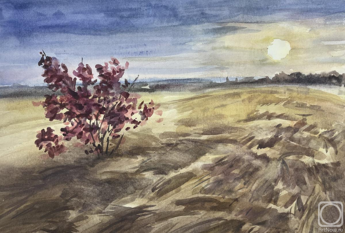 �������. ������� �������. ���� � ������� ������