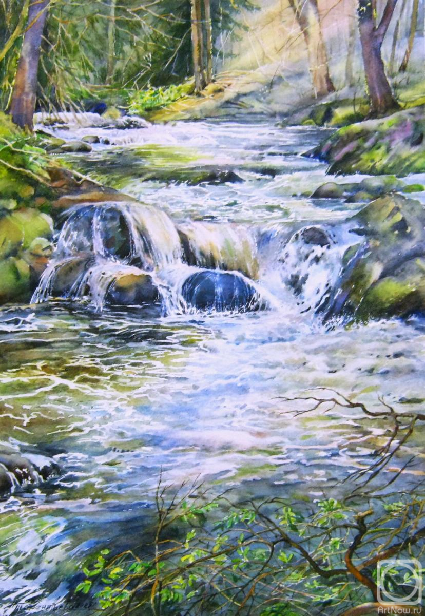 �������. ���������� ����. ������ �����