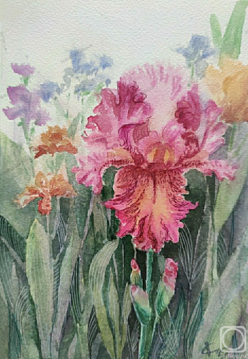 �������. ������ �������. ����� � �����