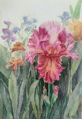 ����� � ����� (������� ����). ������ �������