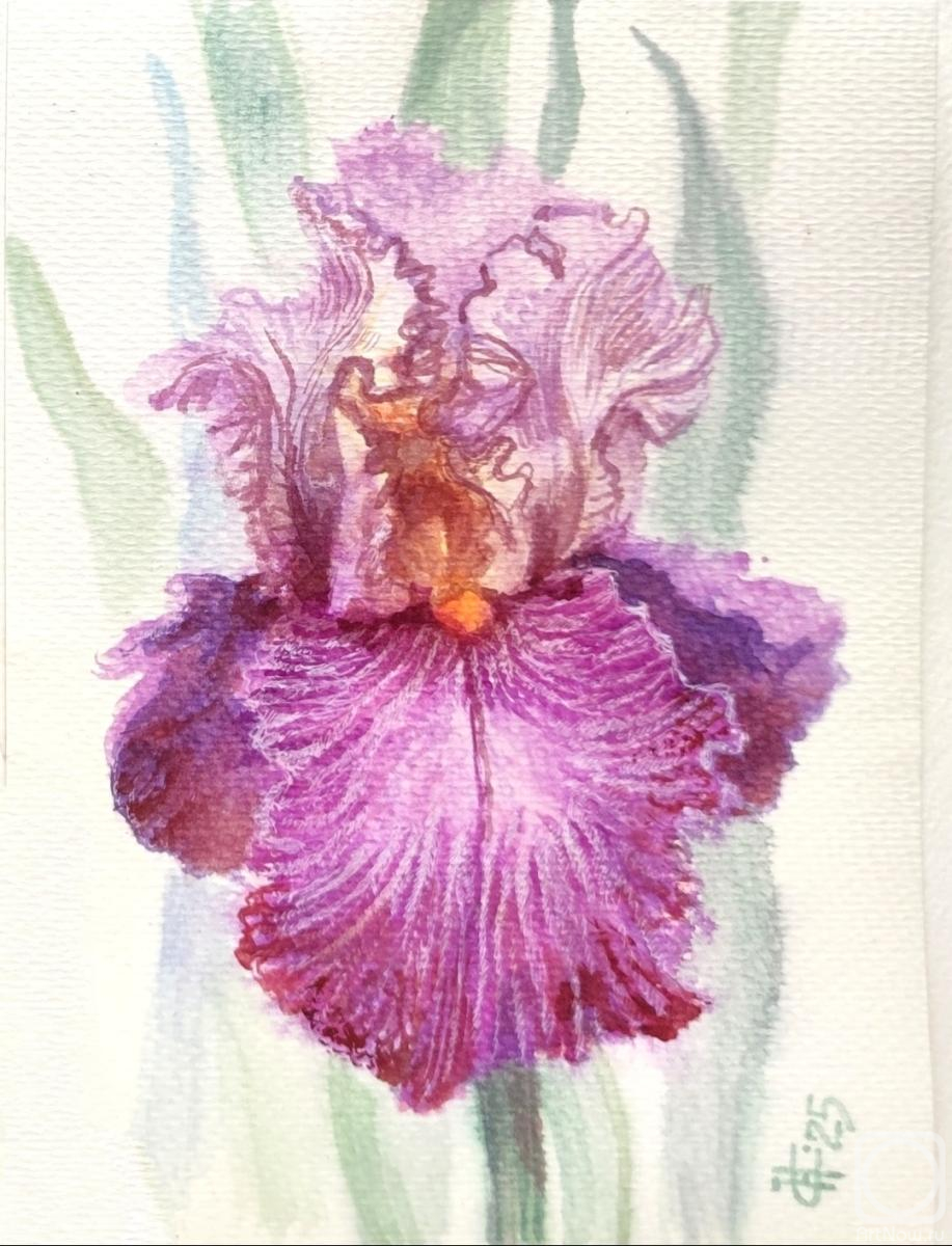 �������. ������ �������. ���� �������-���������