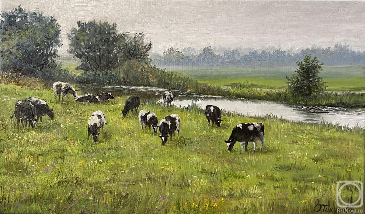 Tikunova Olga. In the vicinity of the village of Runovo