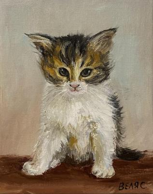 ������� ��������