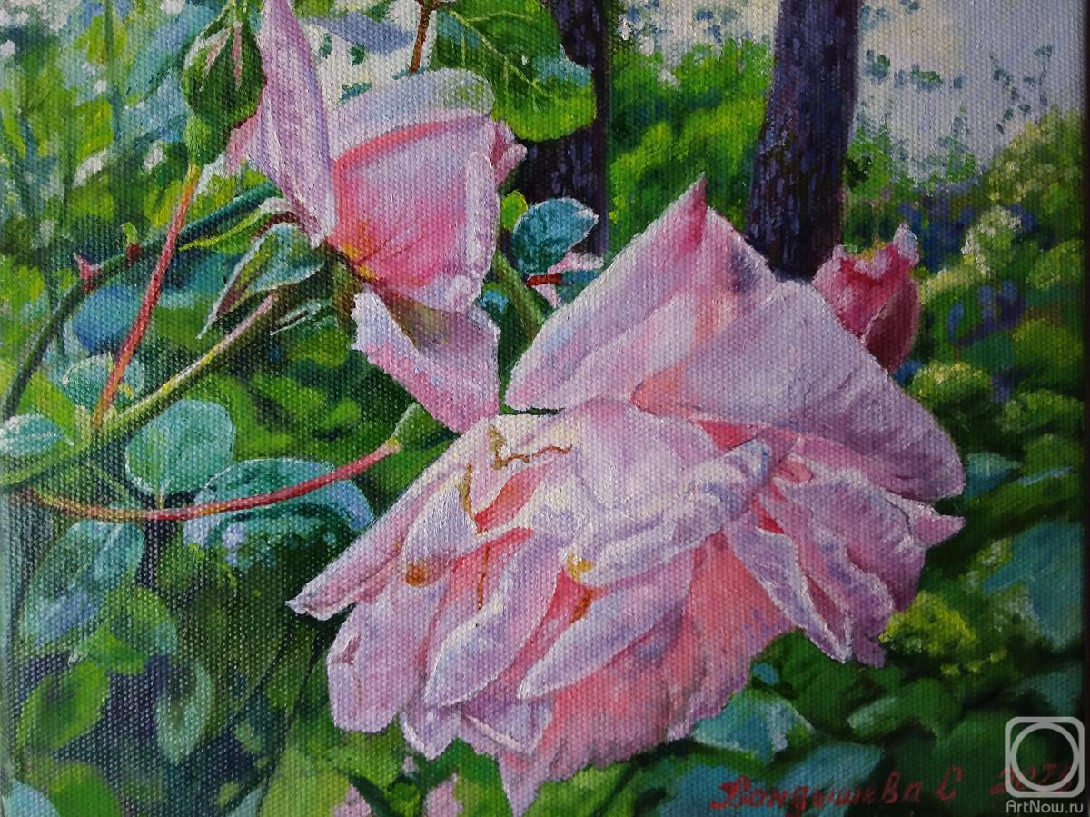 ������� ������ �� ������. ��������� ��������. � ����� ����