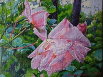 � ����� ����