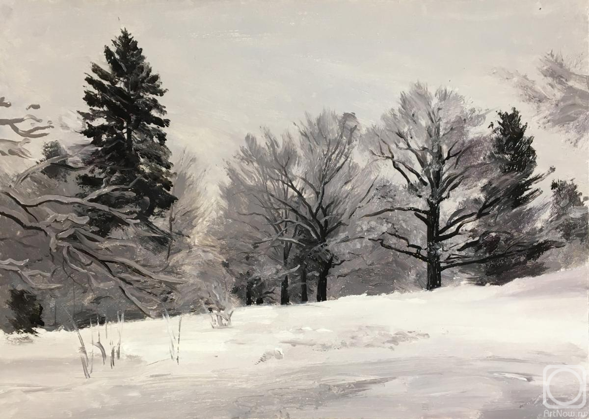 �������. ����� �����. ������� ���� � �������