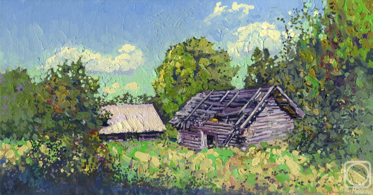 Kozhin Simon. Baths in the village of Orlovo