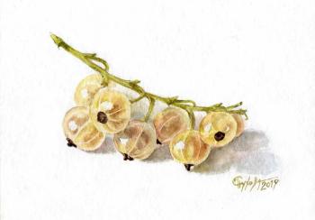 ����� ���������. ������ �������