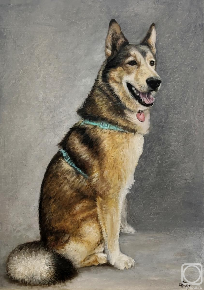 ������� ������ �� ������. ������ �������. ������� ������ �� �����