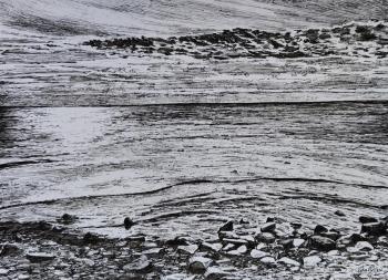 �����. ��������� �������