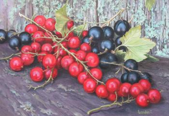 Currant. Kiselevich Gennadiy