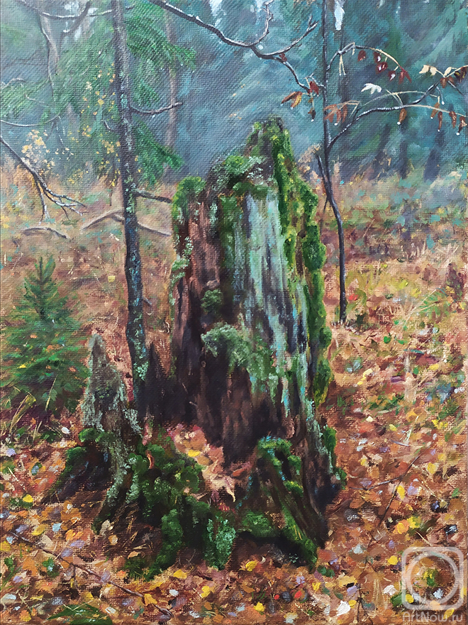 ������� ������ �� ������. ����� �������. �����